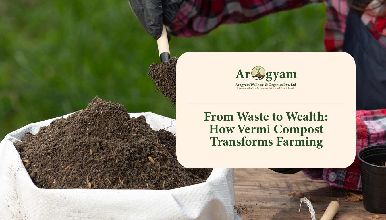 From Waste to Wealth: How Vermi Compost Transforms Farming