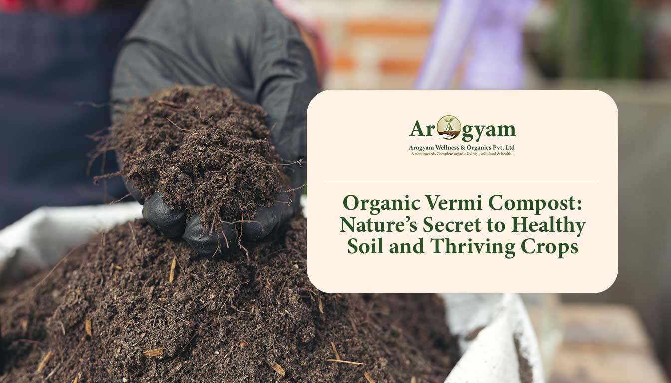 Organic Vermi Compost: Nature’s Secret to Healthy Soil and Thriving Crops