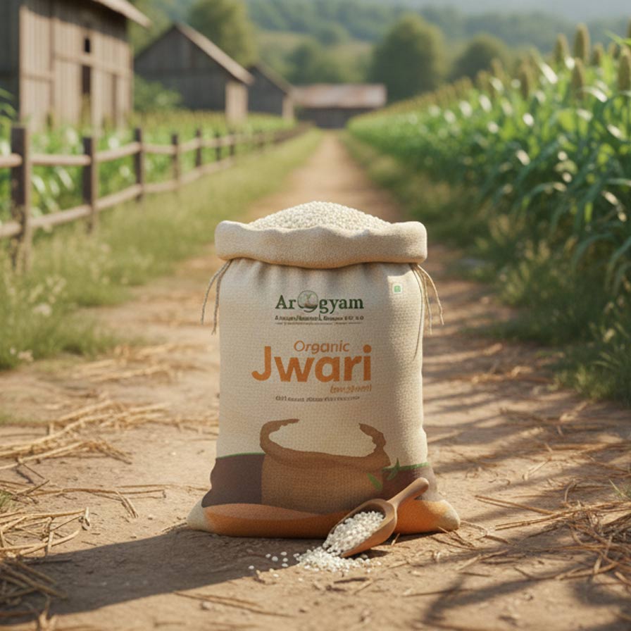 Jwari(ज्वारी )